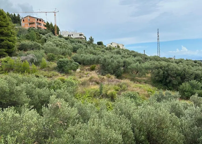 Appartement Mileta *